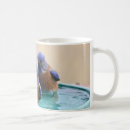Recherche de oiseaux bleus tasses Nature