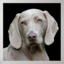 Suche nach beautiful poster Portrait