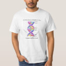 Suche nach thymine Cytosin