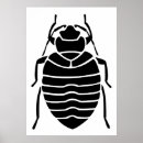 Recherche de entomologie posters Nature