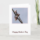 Suche nach glücklicher frühling karten Mother