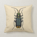 Suche nach biologie kissen Entomologie