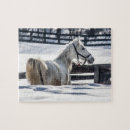 Suche nach weißes pferd puzzle Weide