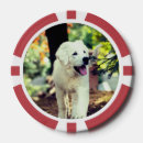 Recherche de animaux jetons poker Dog