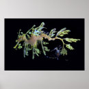 Recherche de feuillu posters Nature
