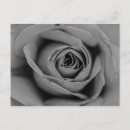 Recherche de monochromatique cartes postales Pour tous