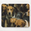 Recherche de chasse tapis souris Chien