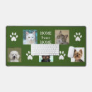 Recherche de chat domestique tapis souris Chien