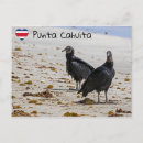 Suche nach geier postkarten Vogelvogel