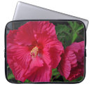 Suche nach hibiskus laptop schutzhüllen Natur