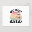 Suche nach frettchen postkarten Haustiere