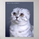 Recherche de voila posters Pour tous