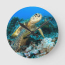 Recherche de divers art Marine