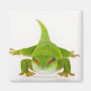 Suche nach madagaskar magnete Reptilien