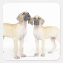 Suche nach zusammengehörigkeit aufkleber Hund