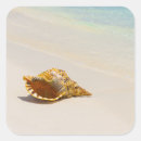 Recherche de maldives autocollants Mer