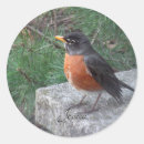 Suche nach rotbarsch aufkleber Vögel