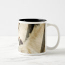 Recherche de sicile tasses L'italie