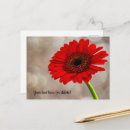 Suche nach roter gerbera karten Vielen dank