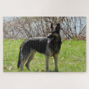 Suche nach schäferhund puzzle Gsd