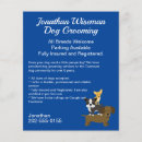Suche nach der groomer der flyer Hundshammen