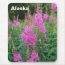 Recherche de le feu tapis souris Nature