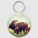 Suche nach amerikanischer bison schlüsselanhänger Vereinte staaten