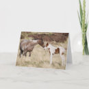 Suche nach colt karten Horse