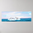 Recherche de peinture de dauphin posters Faune