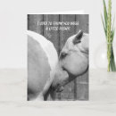 Suche nach pferd lustig karten Vielen dank