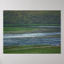 Suche nach pelikan poster Wildtiere