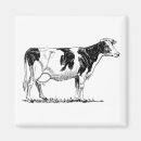 Recherche de vache holstein magnets Laitier