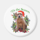 Recherche de extracteur magnets Laboratoire