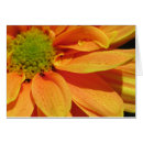 Recherche de productions cartes postales Jardin