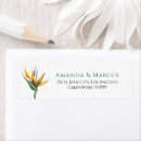 Suche nach paradies blume Elegant