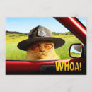 Recherche de patrouille cartes postales Drôle