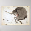 Suche nach taurus poster Vintag
