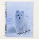 Recherche de renard arctique bureau fournitures Neige