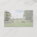 Recherche de bétail cartes visite Vache