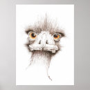 Suche nach lustige emu poster Australien