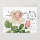 Recherche de fleurs françaises cartes postales France