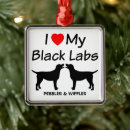 Suche nach labe ornamente Labrador