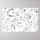 Suche nach schwarze vögel poster Bild