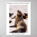 Suche nach seelöwe poster Löwen