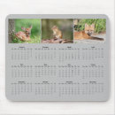 Suche nach säugetiere mousepads Rotfuchs