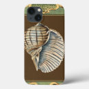 Recherche de plage de coquille électronique Mer
