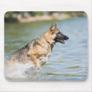 Suche nach deutsche alle mousepads Welpe