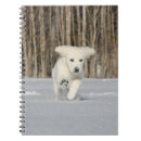 Suche nach goldene retriever kleine notizbücher Schnee