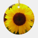 Suche nach sonnenblumen ornamente Kinder