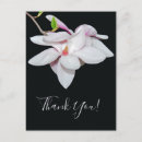 Suche nach magnolie postkarten Blume